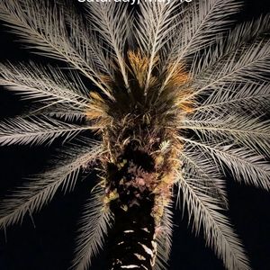 Meet your Posher, Frances